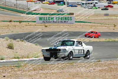 media/May-07-2022-Cobra Owners Club of America (Sat) [[e681d2ddb7]]/Red/Session 3 (Turn 3)/